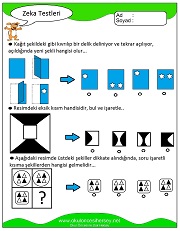 Zeka Gelişim Testleri